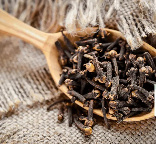 Clove Bud Oil