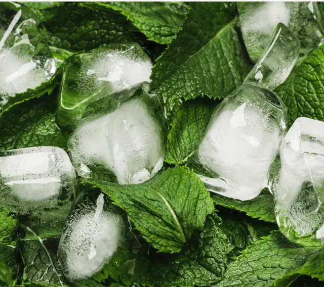 Menthol