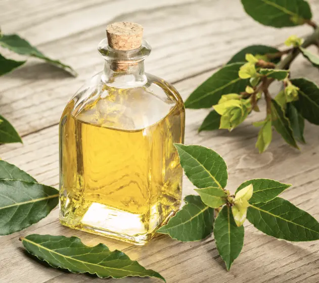 Tea Tree Oil